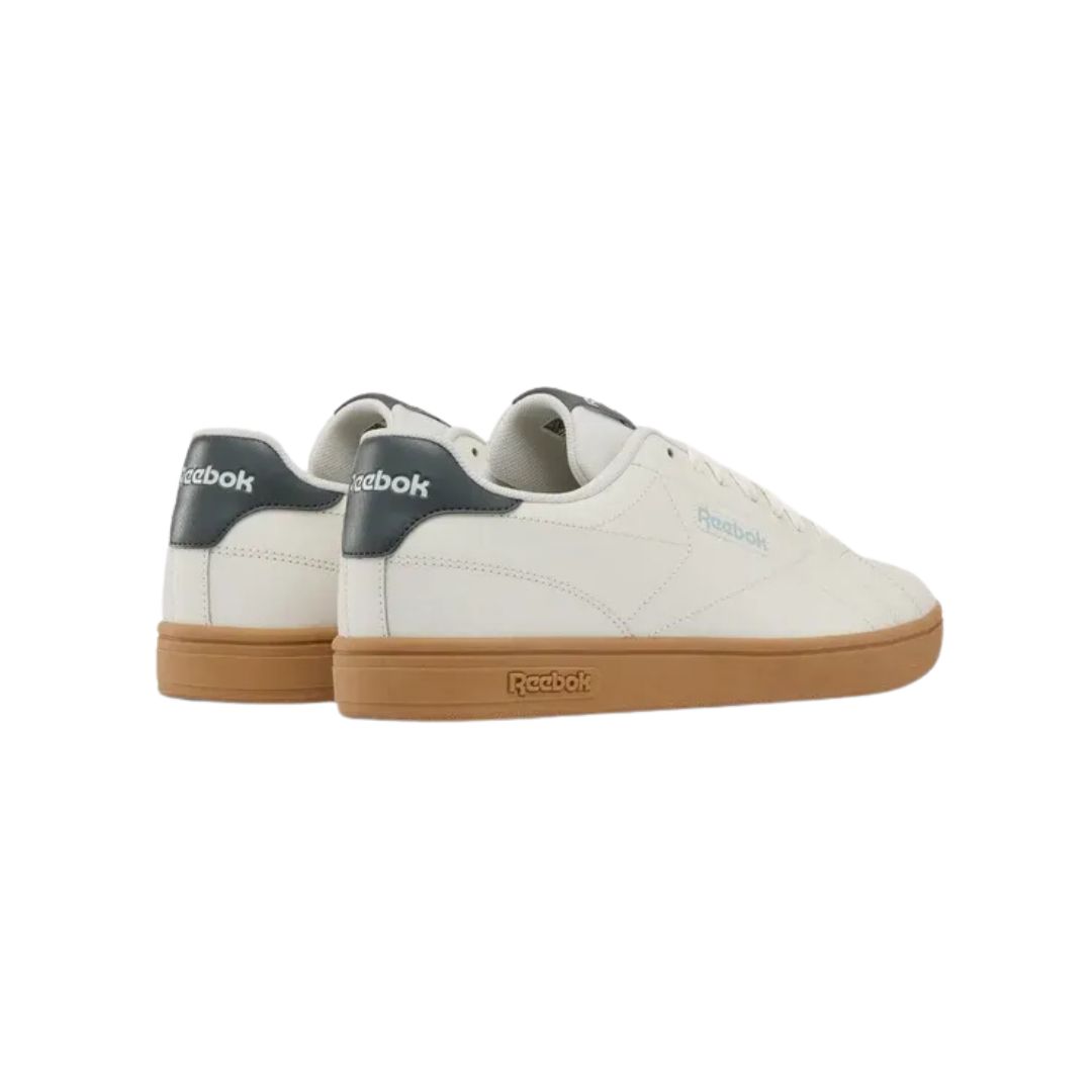 Court Clean Shoes