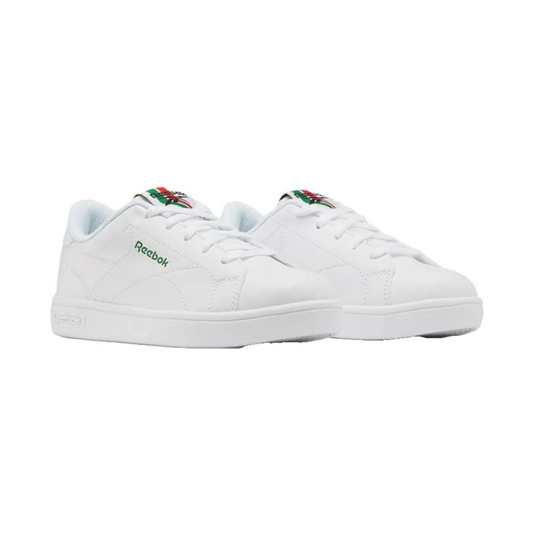 Court Clean Shoes