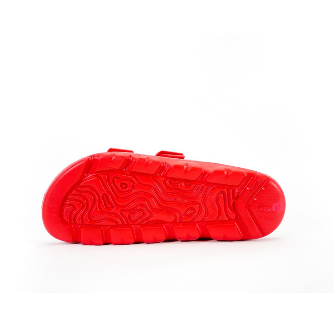 Red Safari Slides