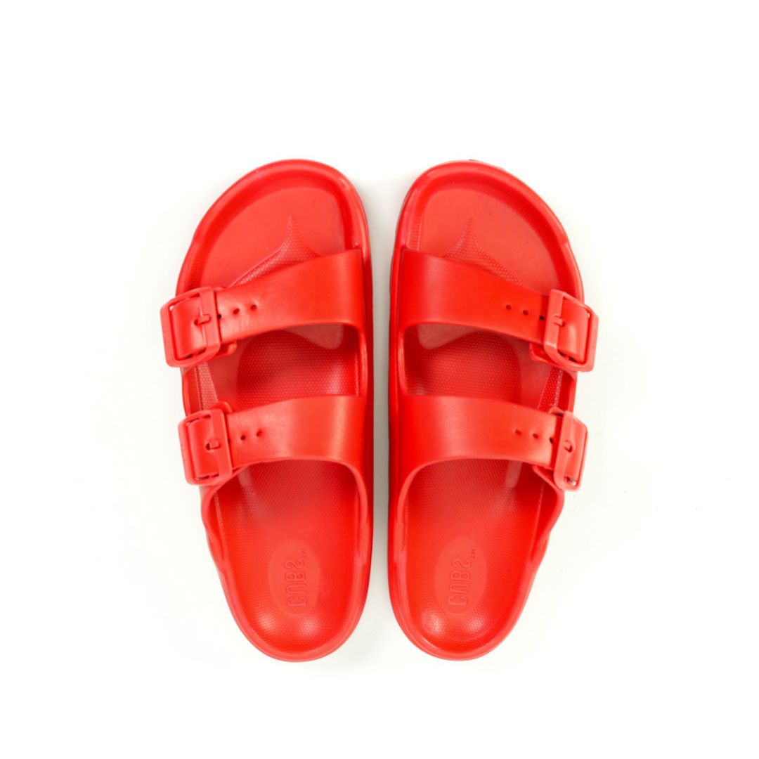 Red Safari Slides