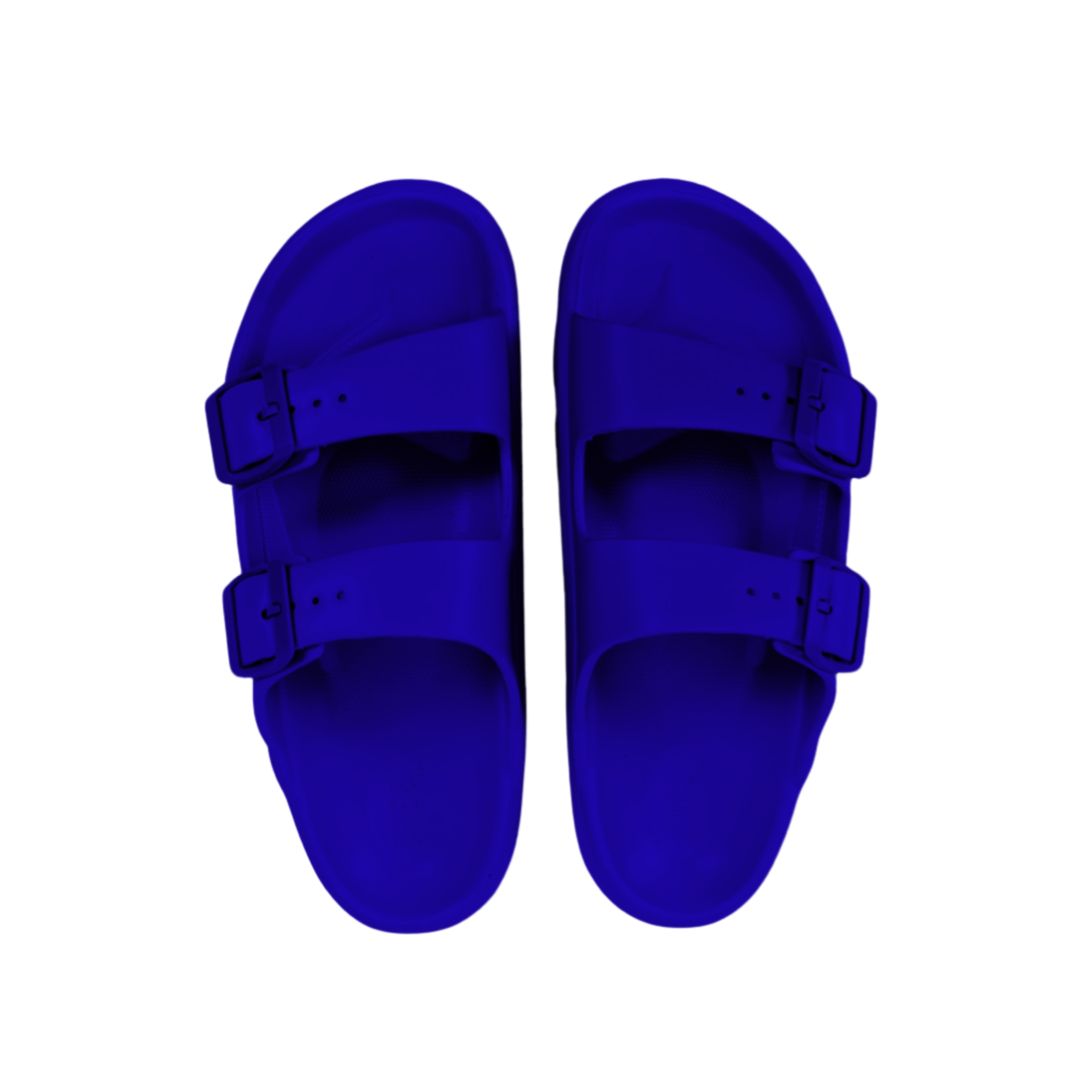 Royal Blue Safari Slides