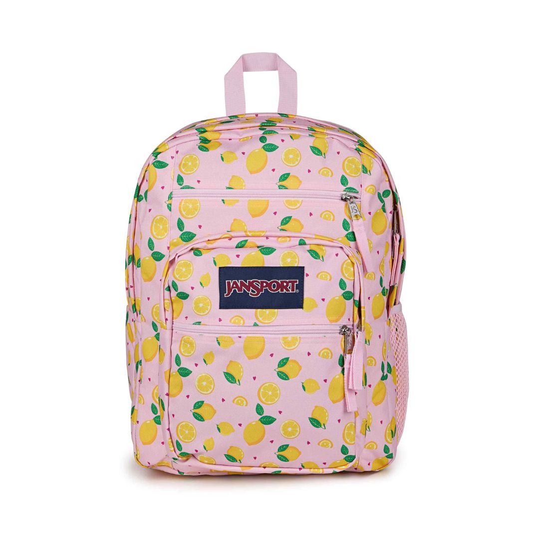 Big Student Backpack