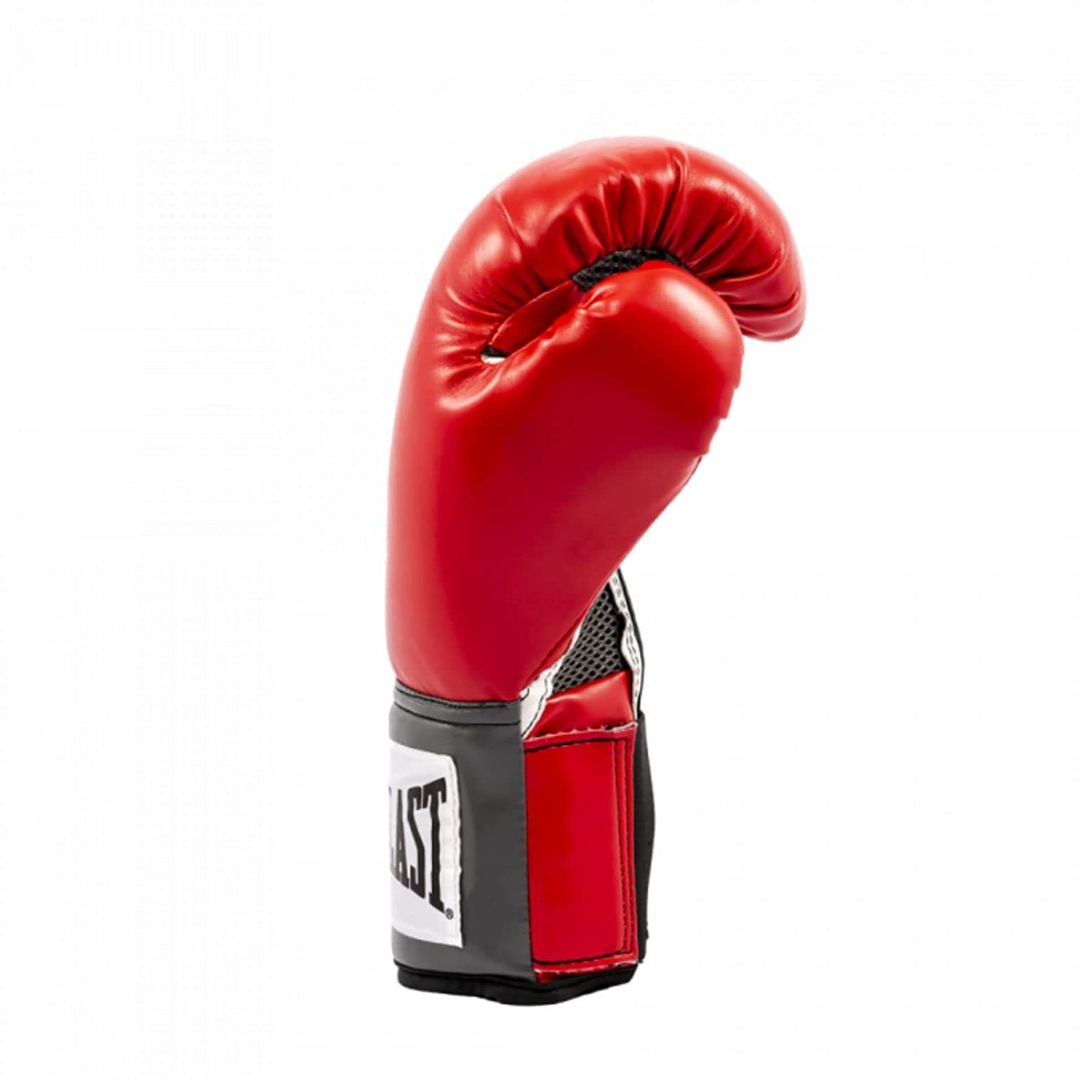 Pro Style Elite Boxing Gloves