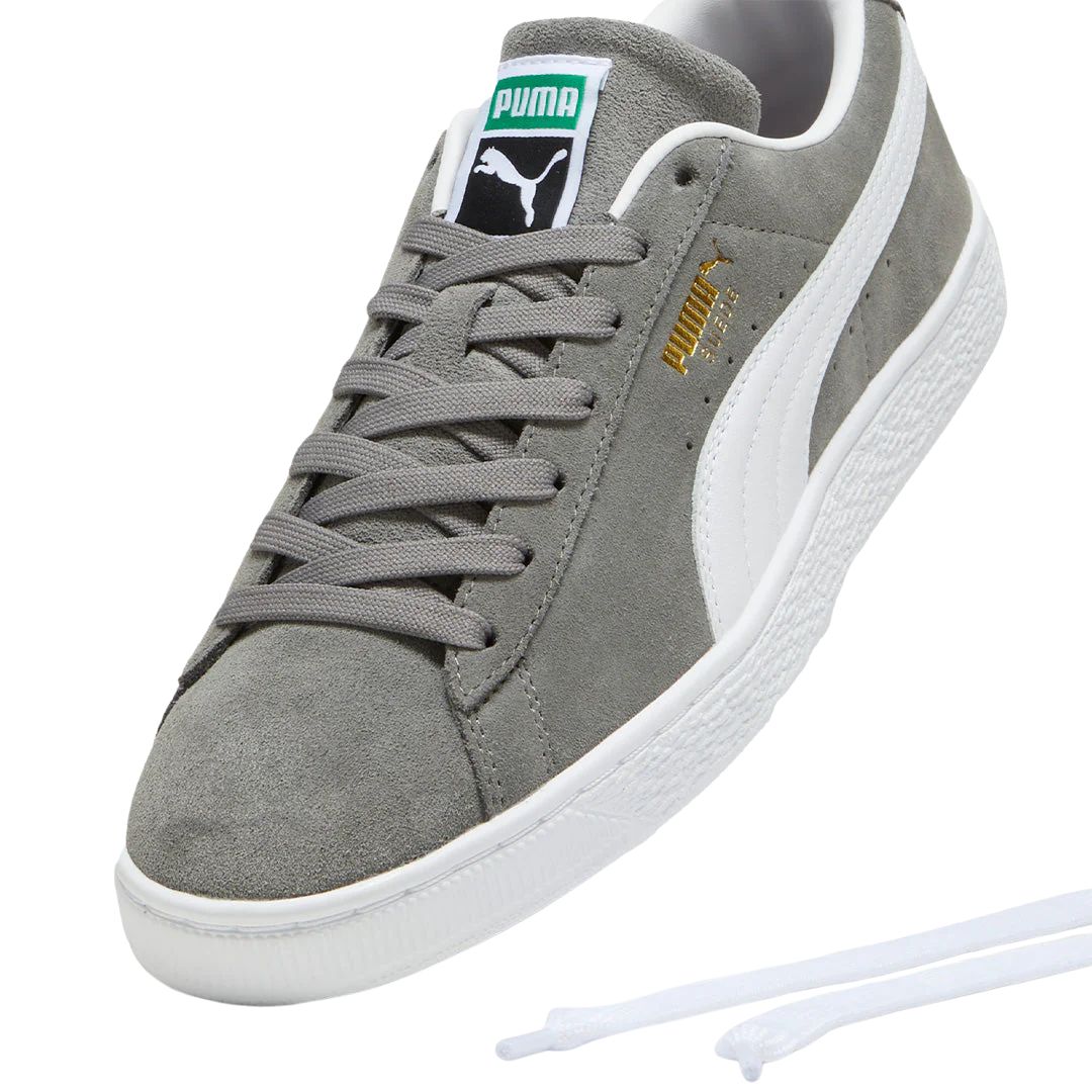 Suede Classic Cast Iron Lifestyle Shoes