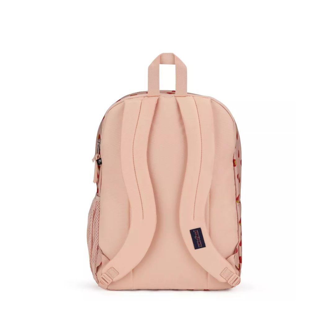 Big Student Backpack