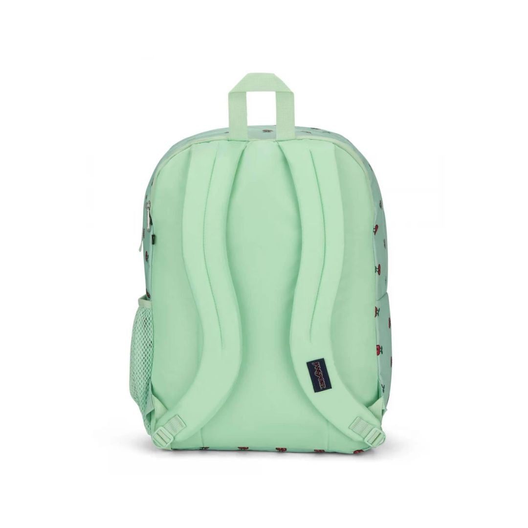 Big Student Backpack