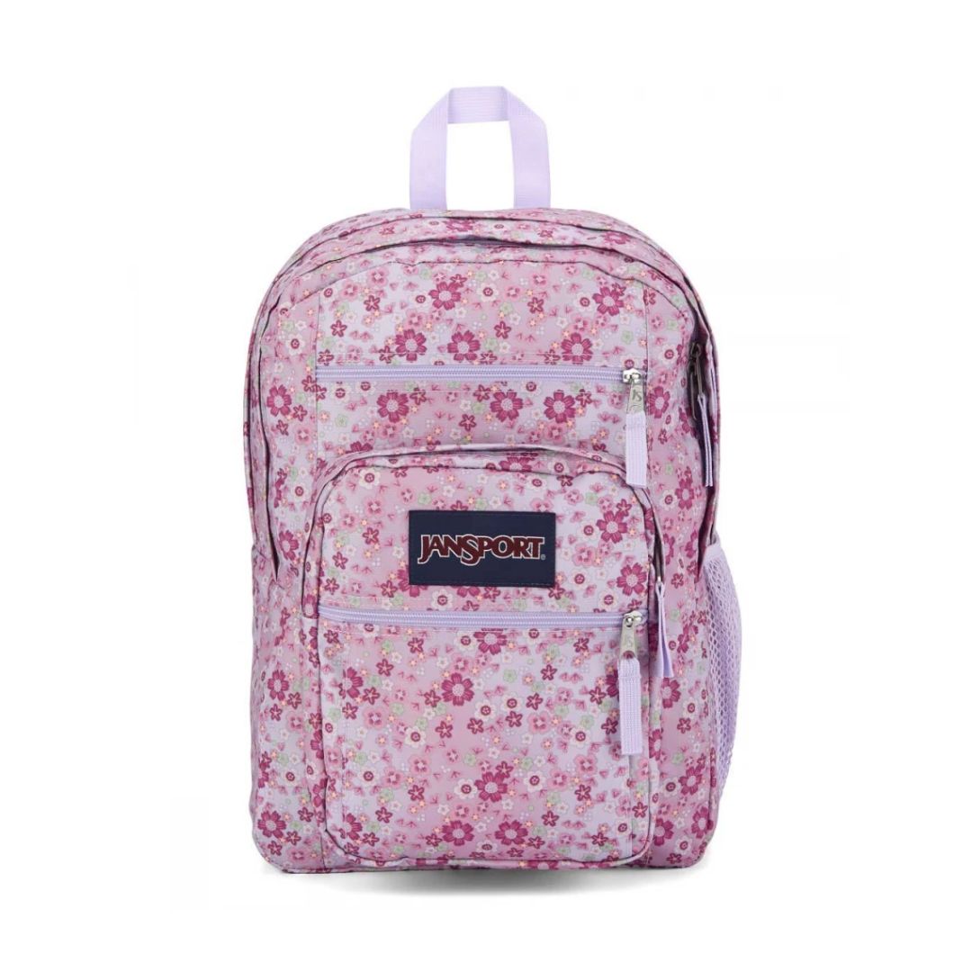 Big Student Backpack