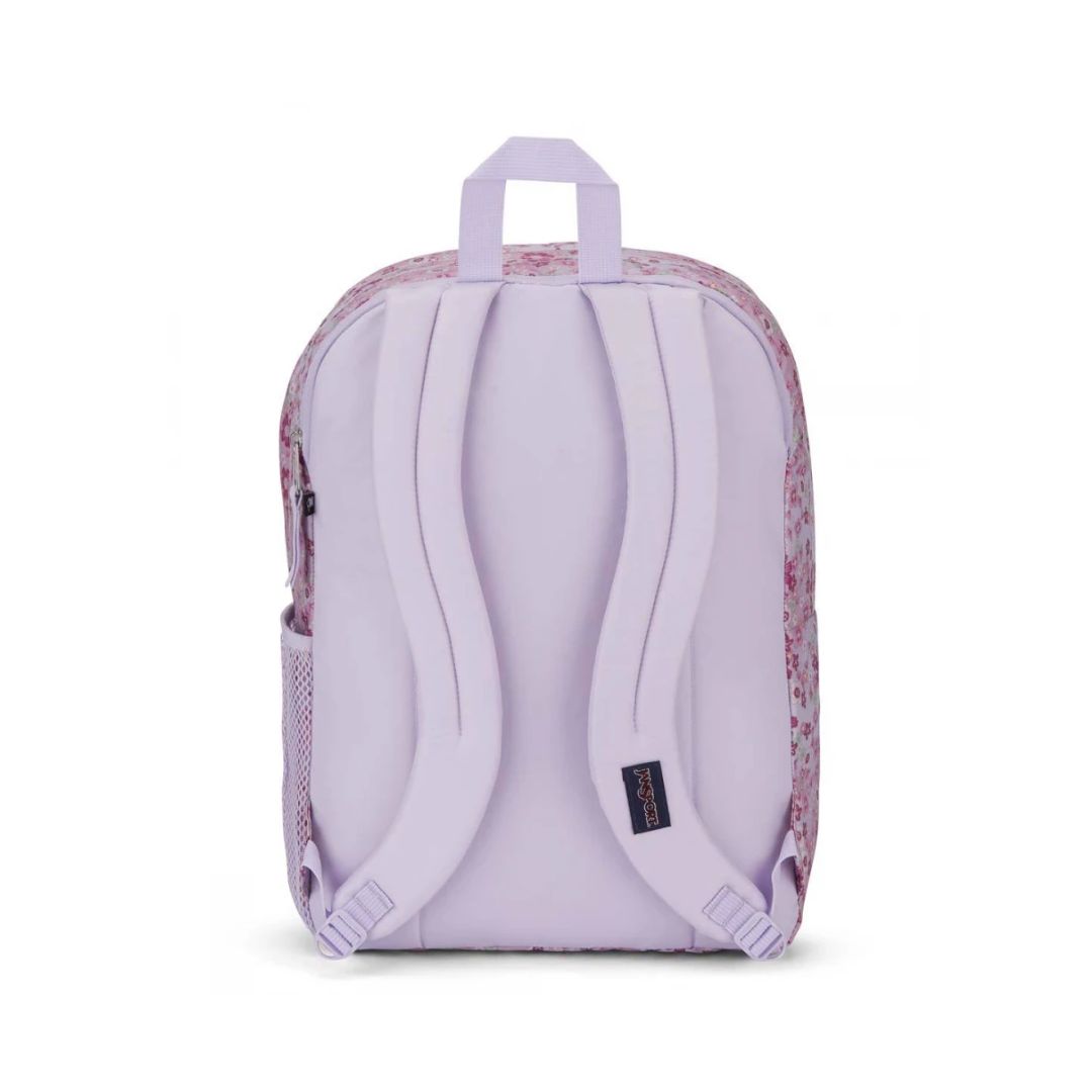 Big Student Backpack