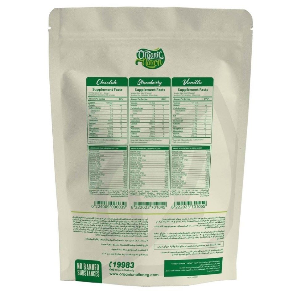 Chocolate Whey Protein