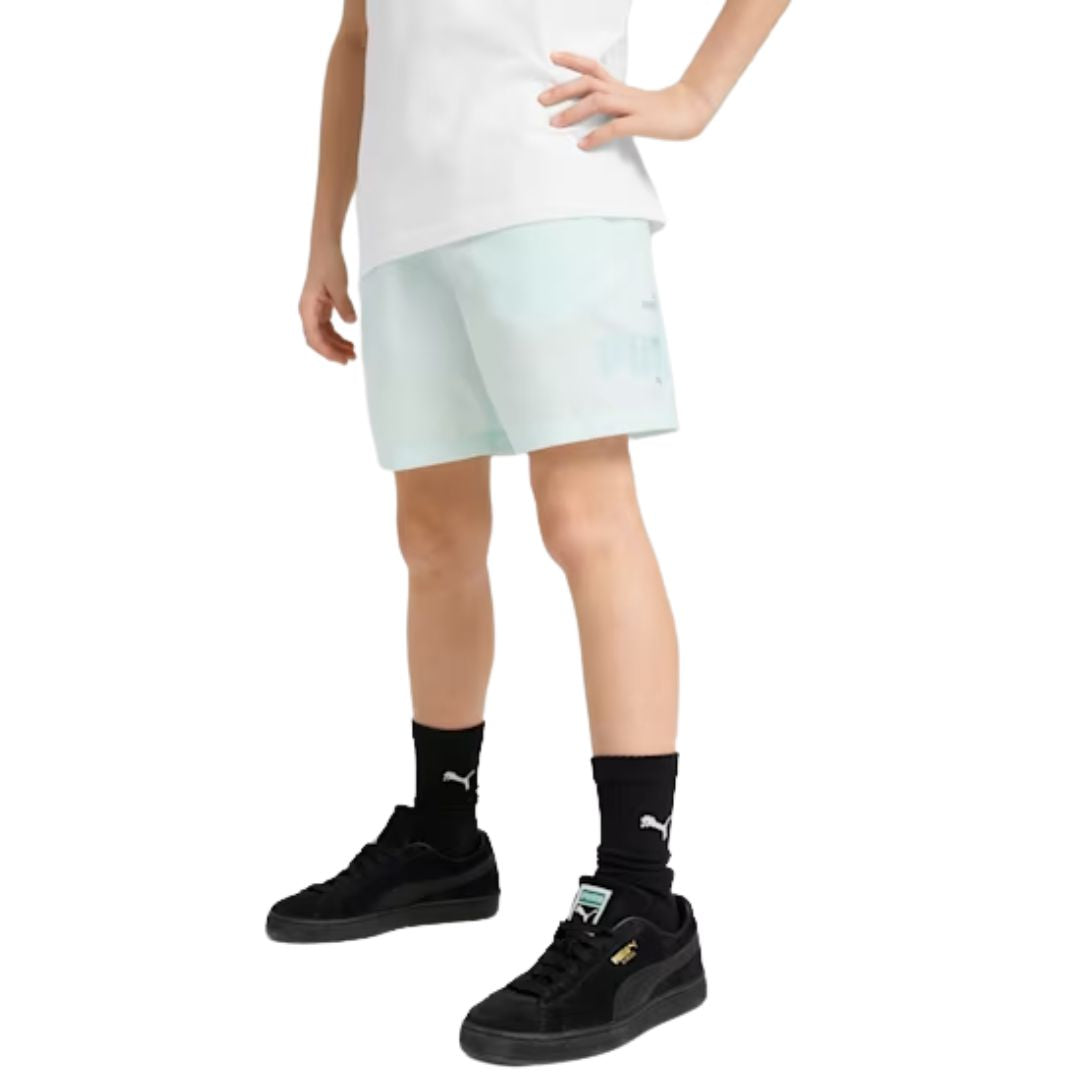 Essentials Logo Lab Summer Shorts