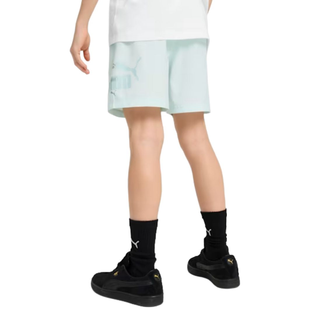Essentials Logo Lab Summer Shorts