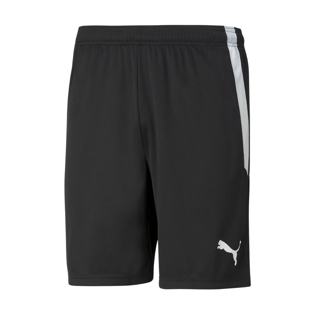 Team LIGA Shorts