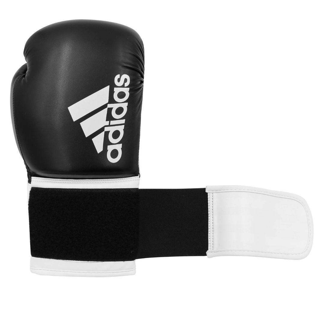 Boxing Gloves Hybrid-100