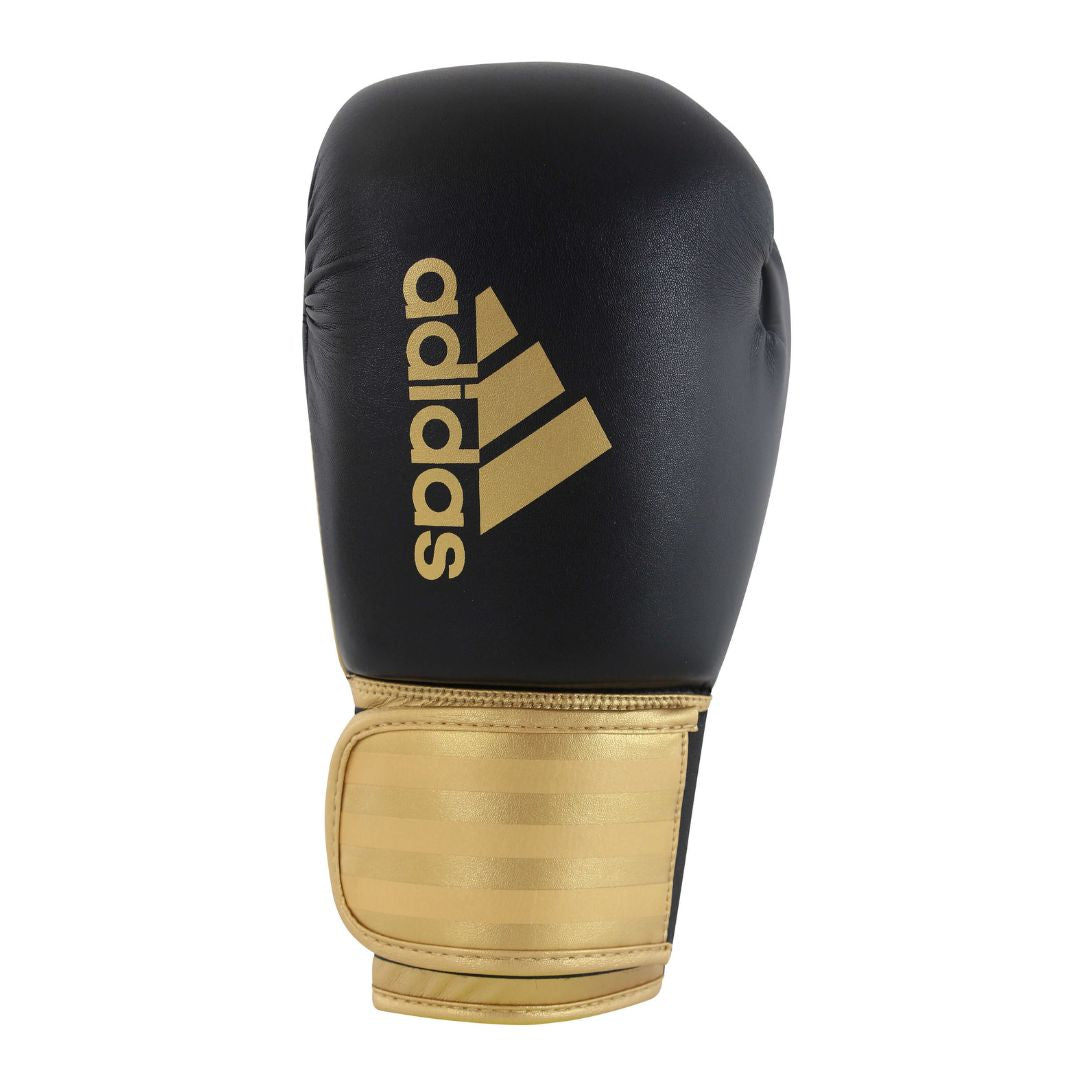 Boxing Gloves Hybrid-100