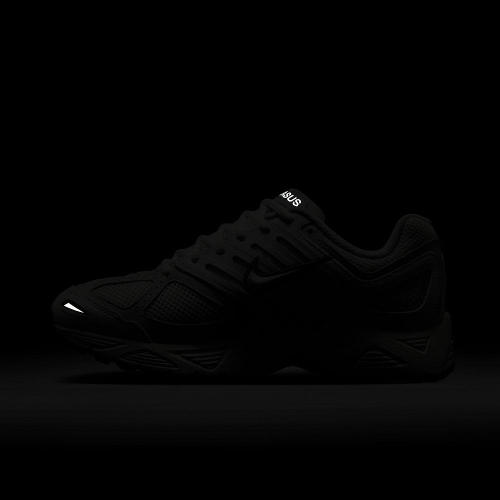 Air Pegasus 2005 Lifestyle Shoes