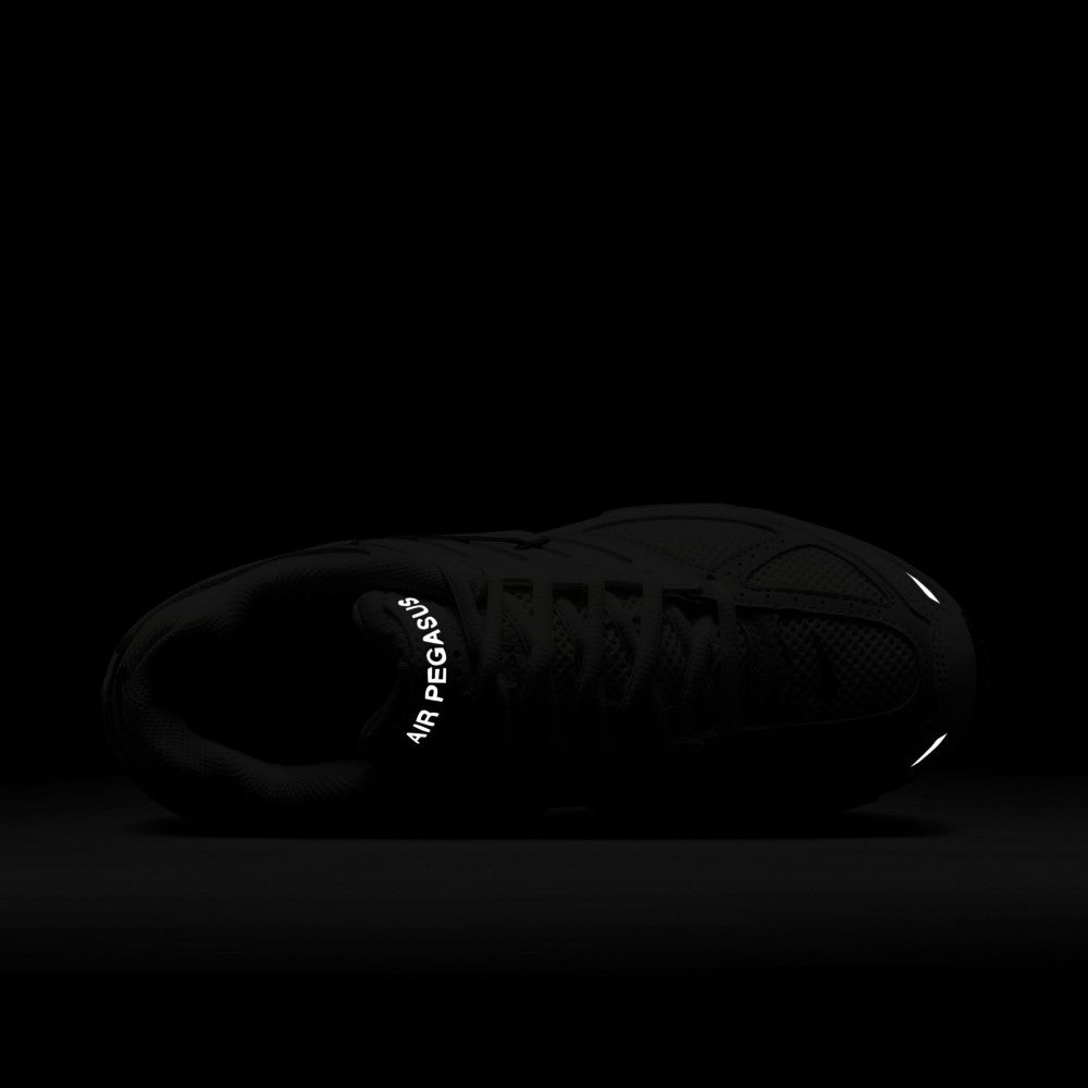 Air Pegasus 2005 Lifestyle Shoes