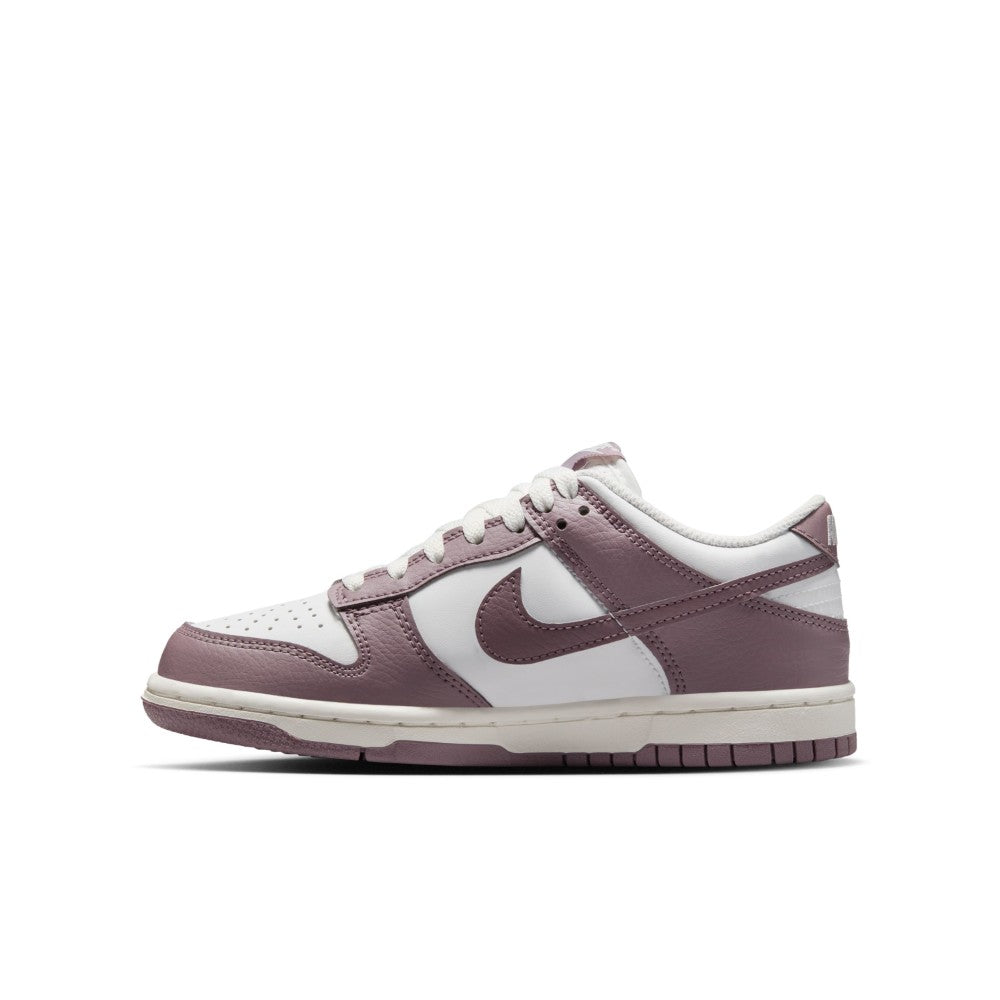 Dunk Low Lifestyle Shoes