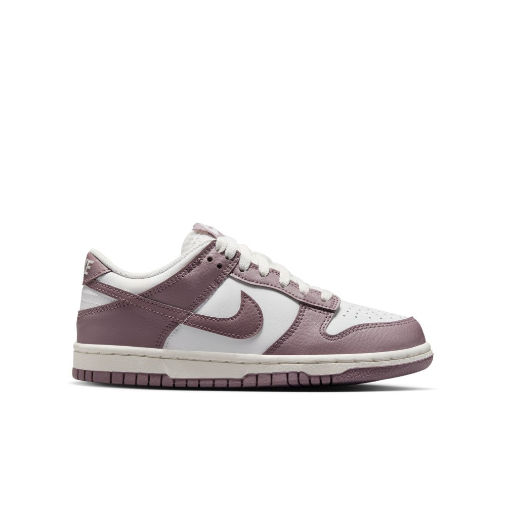 Dunk Low Lifestyle Shoes