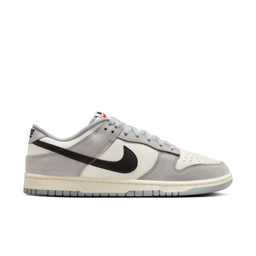 Dunk Low Sc Lifestyle Shoes