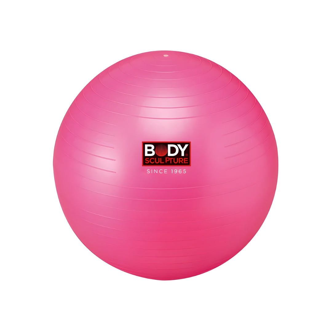 Gym Swiss Ball (56Cm)