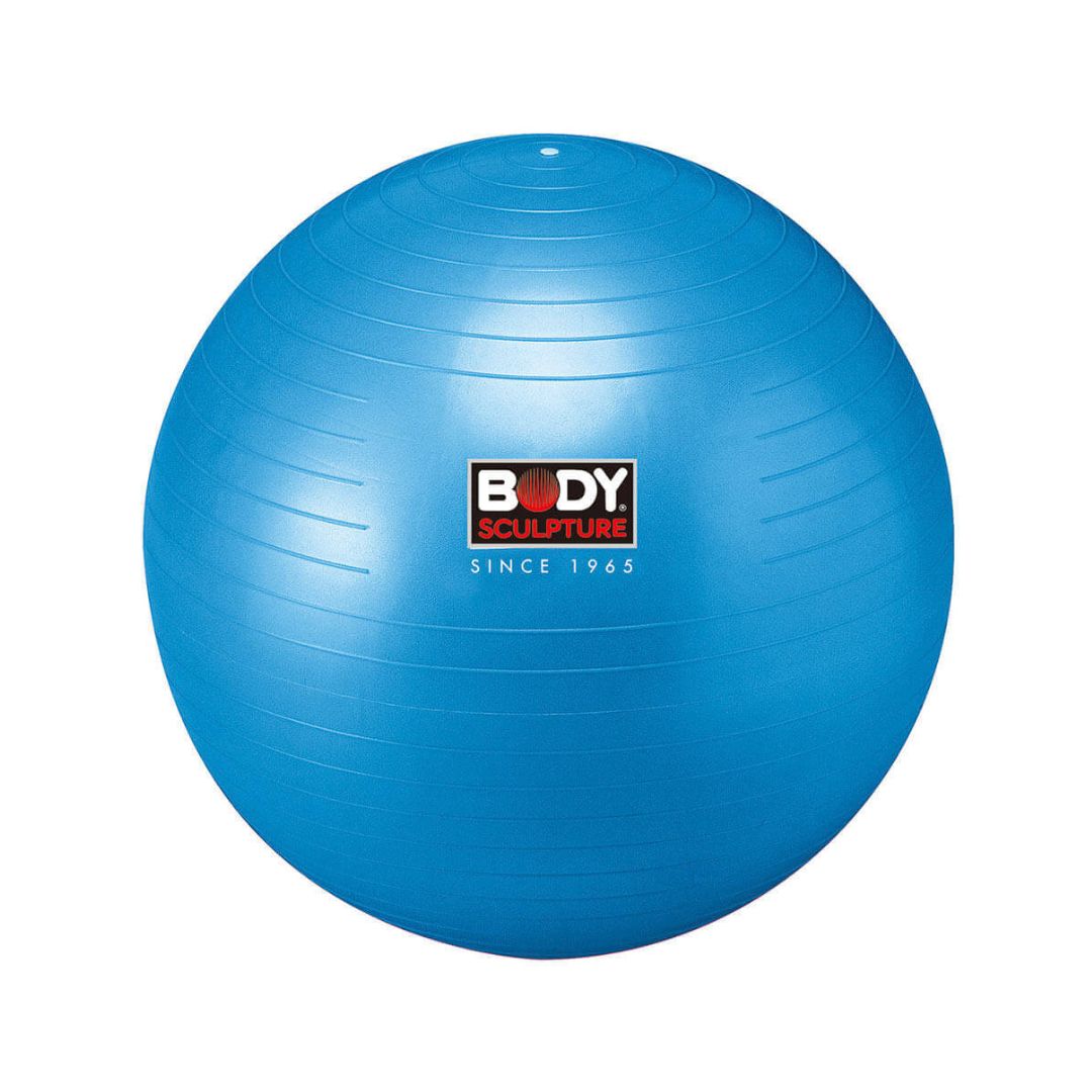 Body Sculpture Unisex Gym Ball Swiss Ball 65cm Body