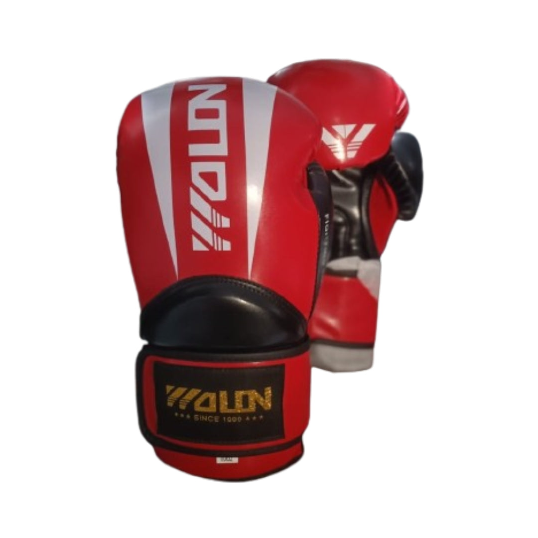 قفازات الملاكمة شامبيون