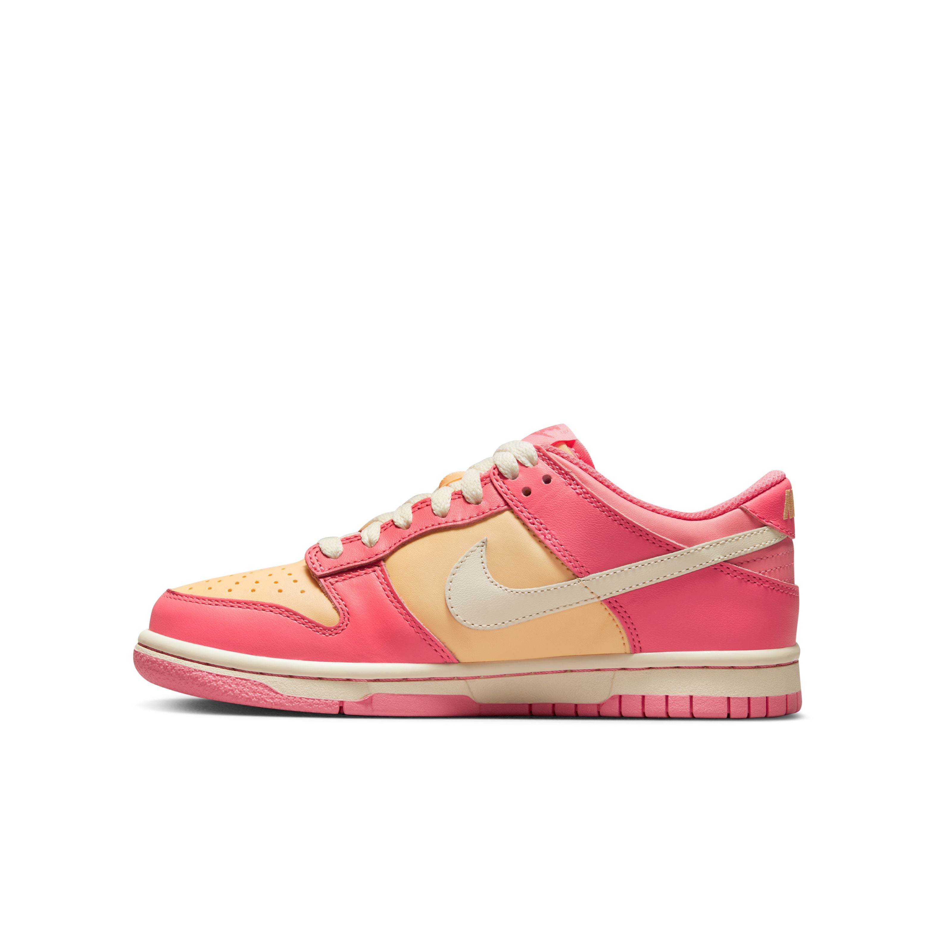 Dunk Low Lifestyle Shoes