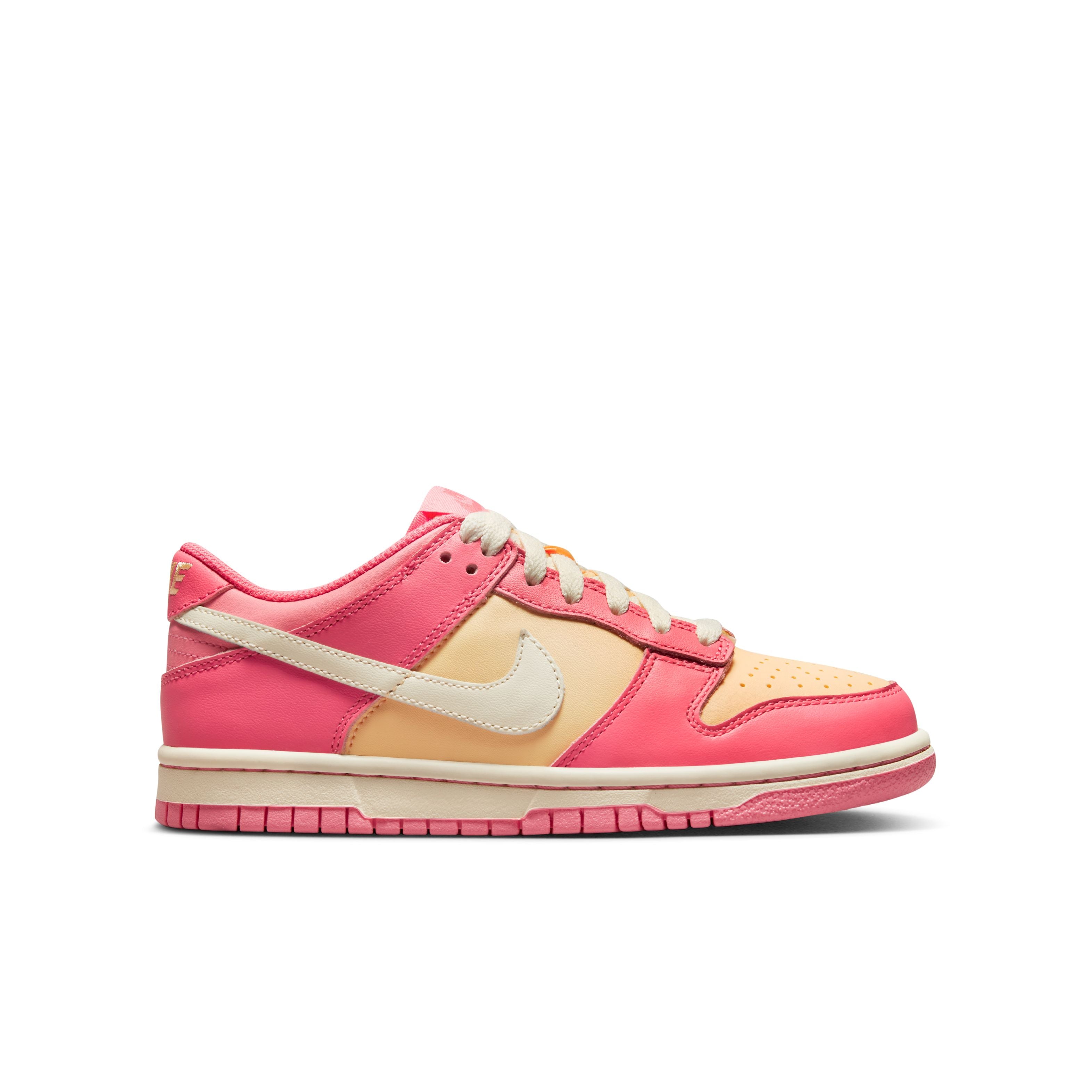 Dunk Low Lifestyle Shoes