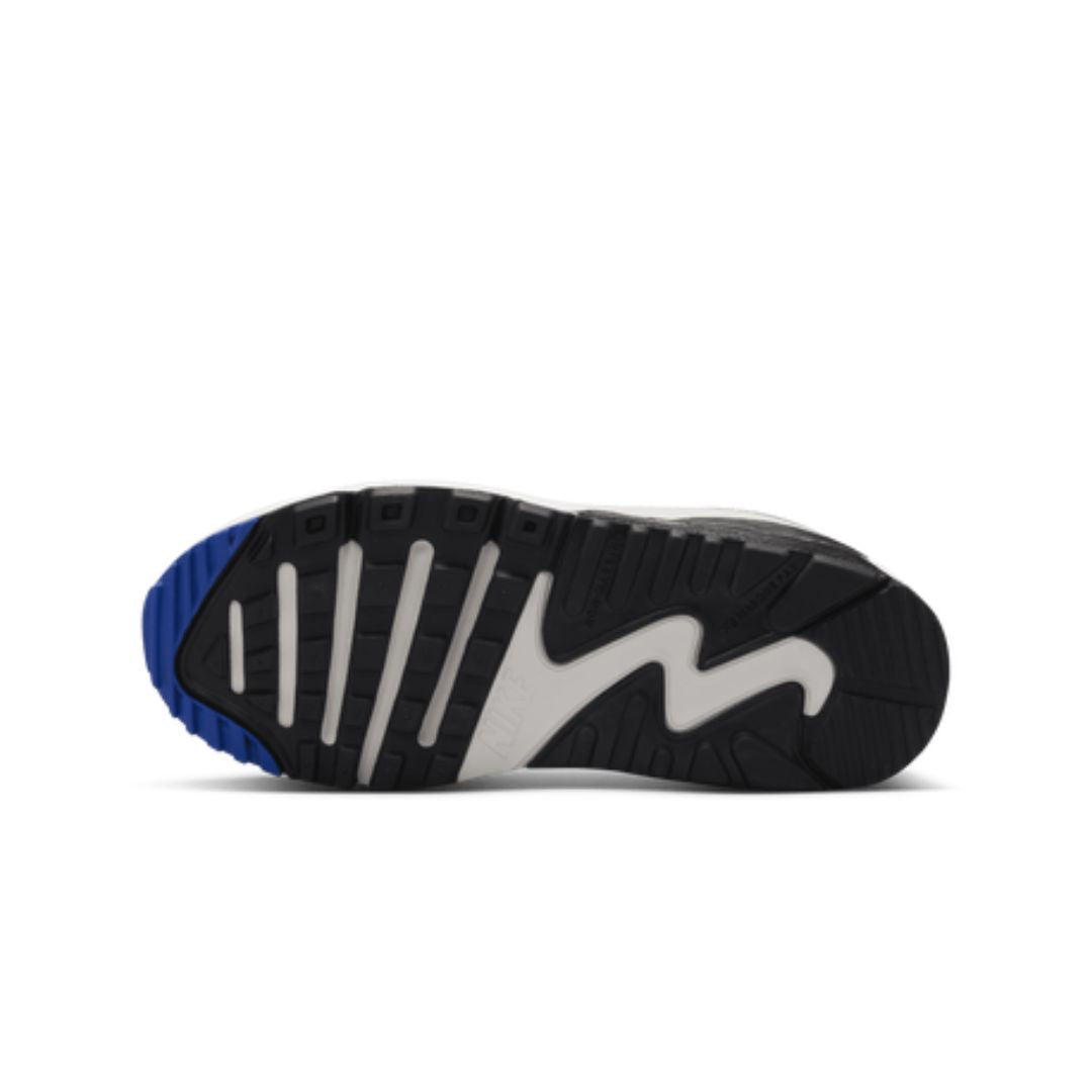 Air Max 90 Ltr Ps Lifestyle Shoes