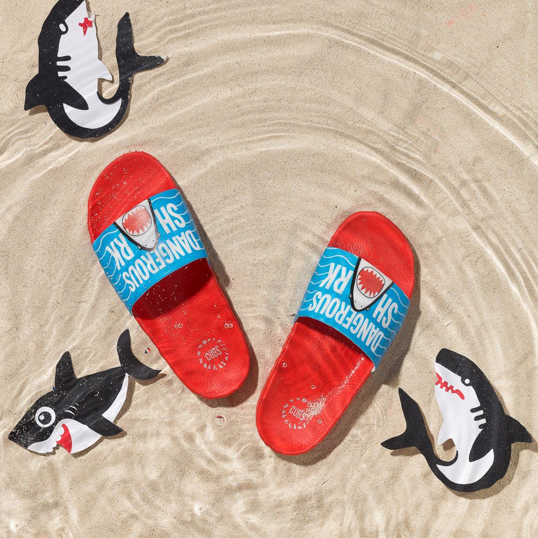 Dangerous Shark Slides