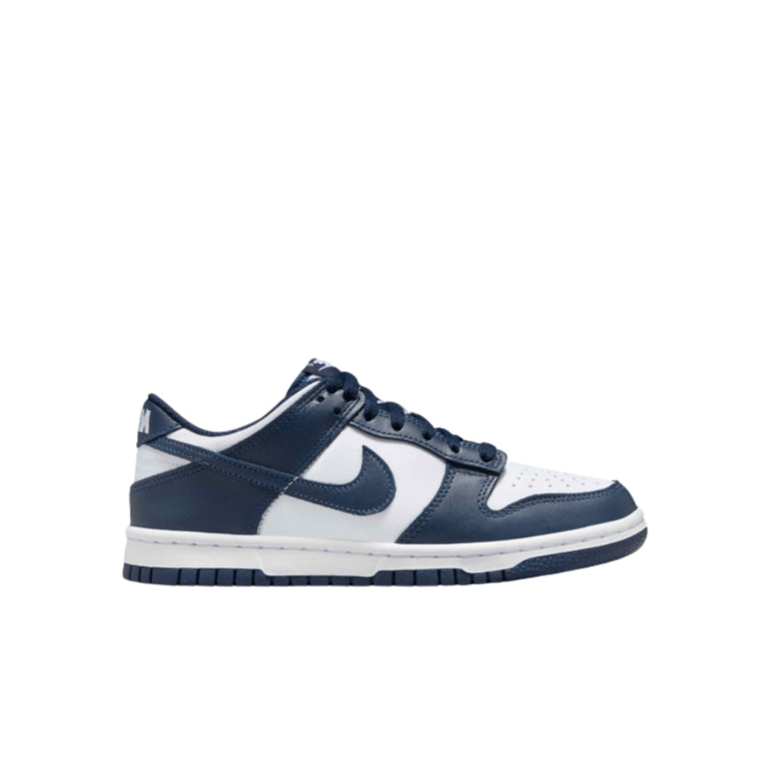 Dunk Low Lifestyle Shoes