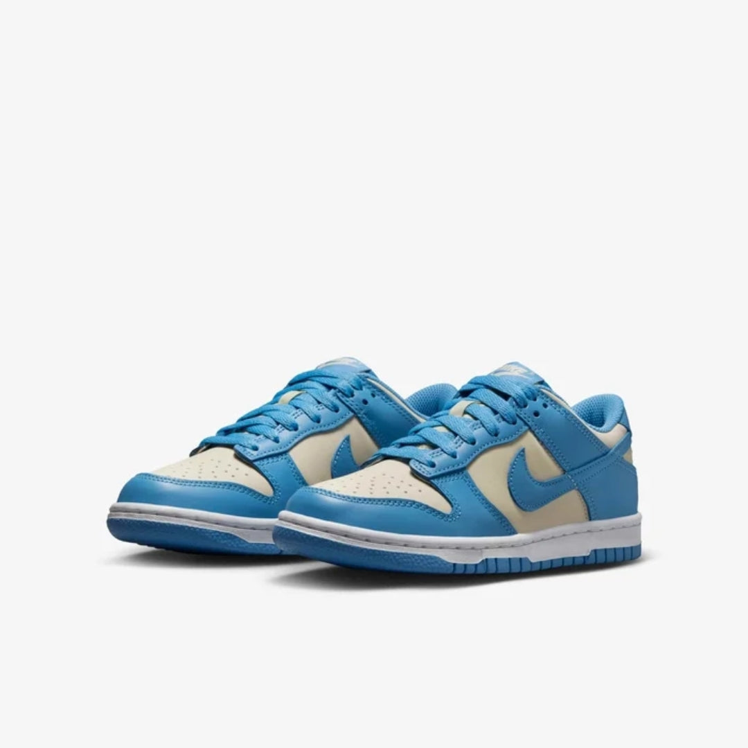 Dunk Low Lifestyle Shoes