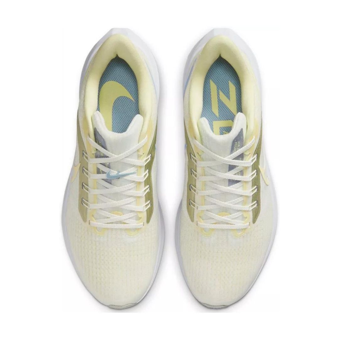 Air Zoom Pegasus 39 Running Shoes