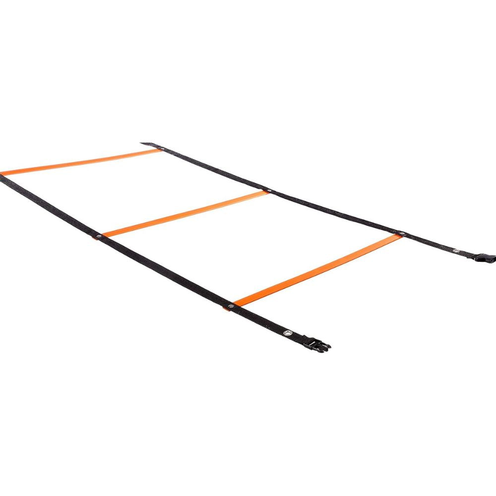 Skill Step 4 M ladder