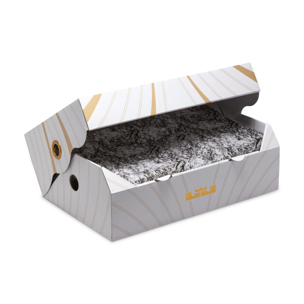 حذاء كرة سلة ليبرون 21