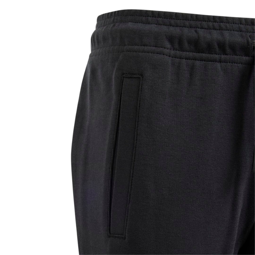 Future Icons 3-Stripes Pants