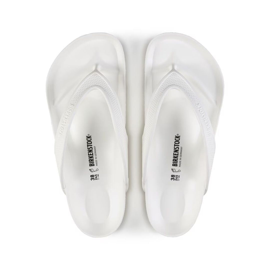 هونلولو ايفا