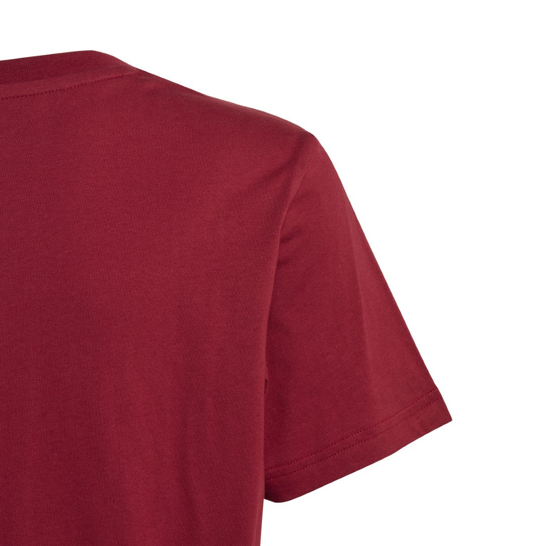 تيشيرت كوليج جرافيك باك بويفريند