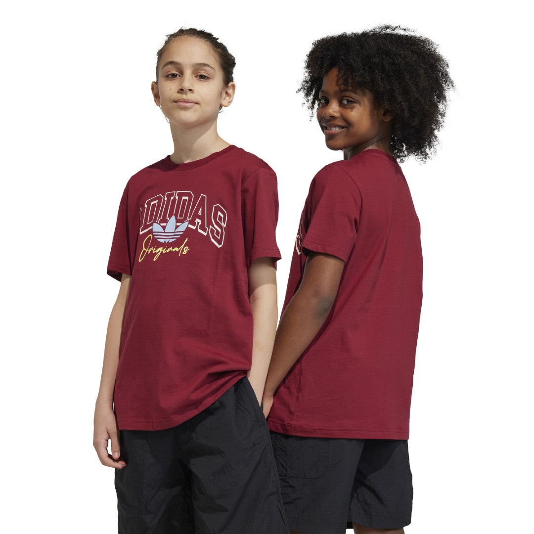 تيشيرت كوليج جرافيك باك بويفريند