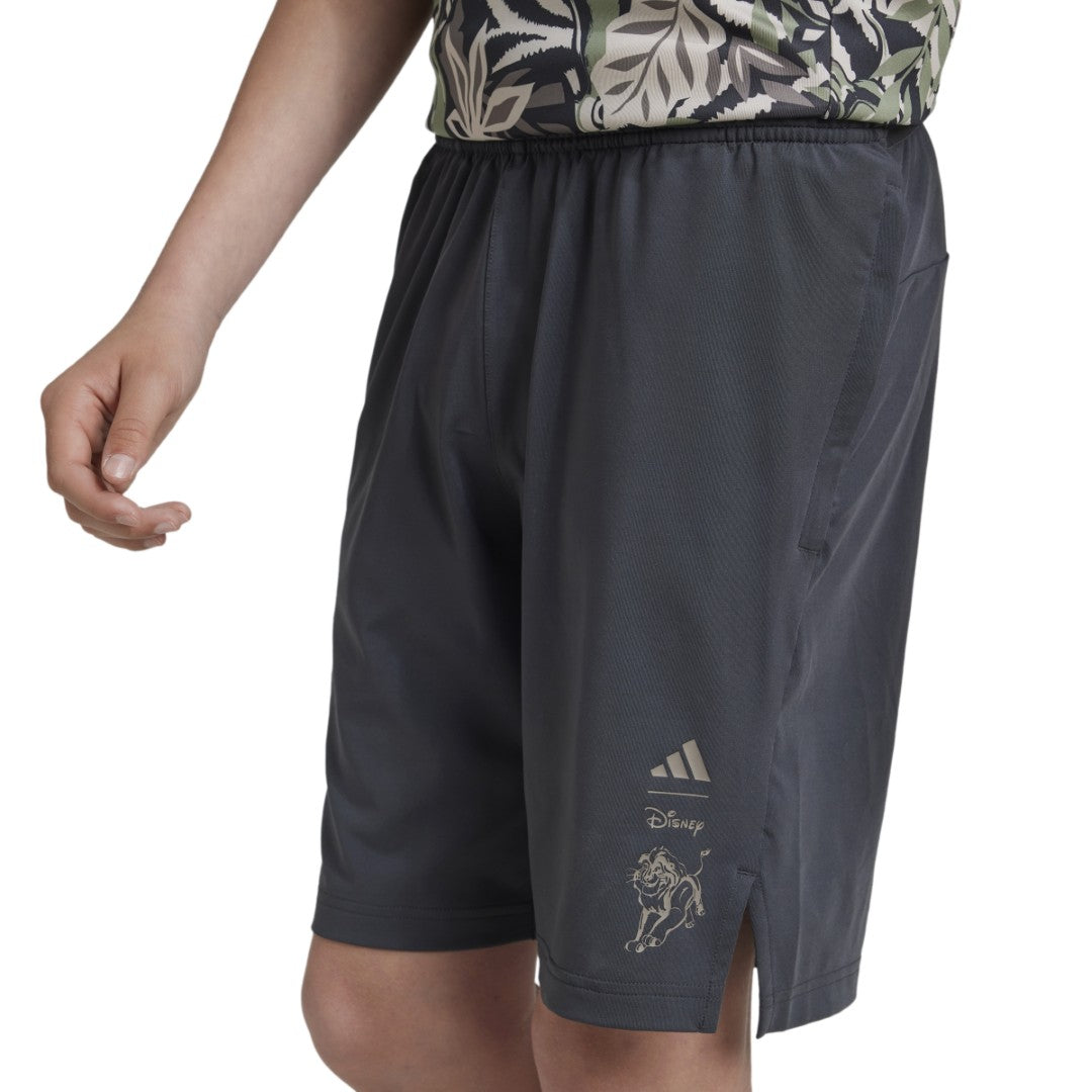 Disney Lion King Shorts