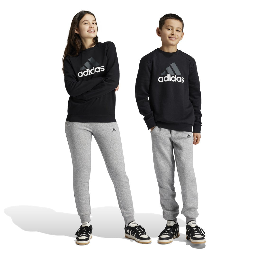 Essentials Big Logo Fleece Jogger Set