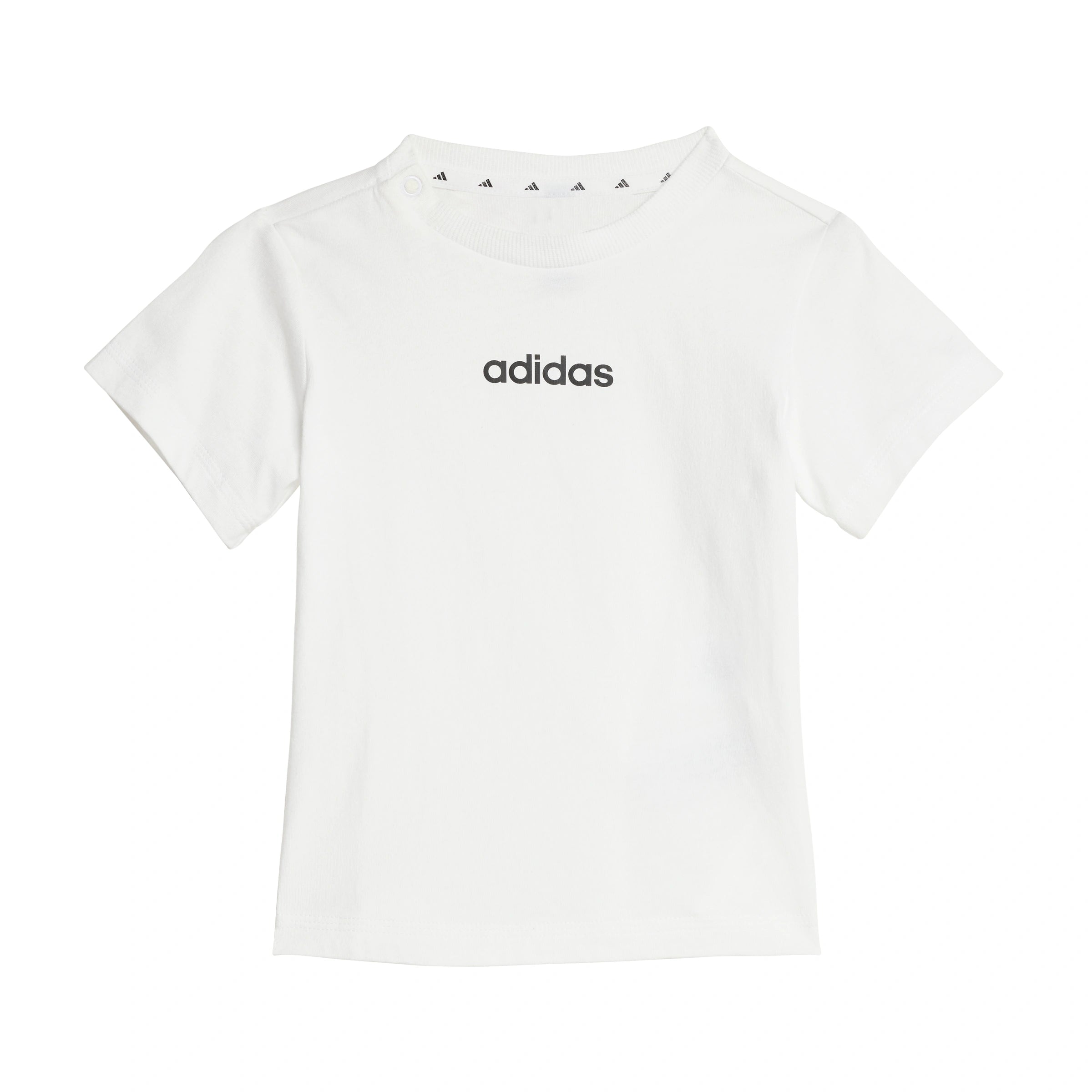 Essentials Set