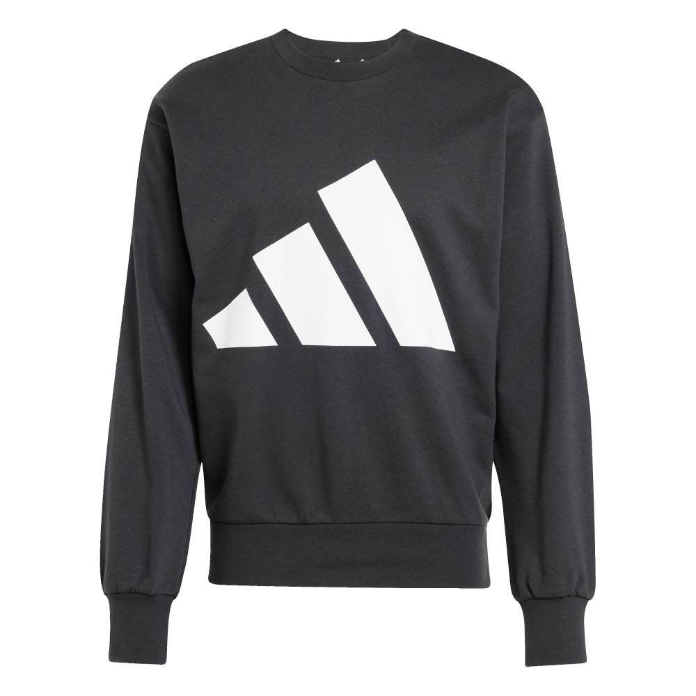 Essentials Big Logo French Terry Sweatshirt
