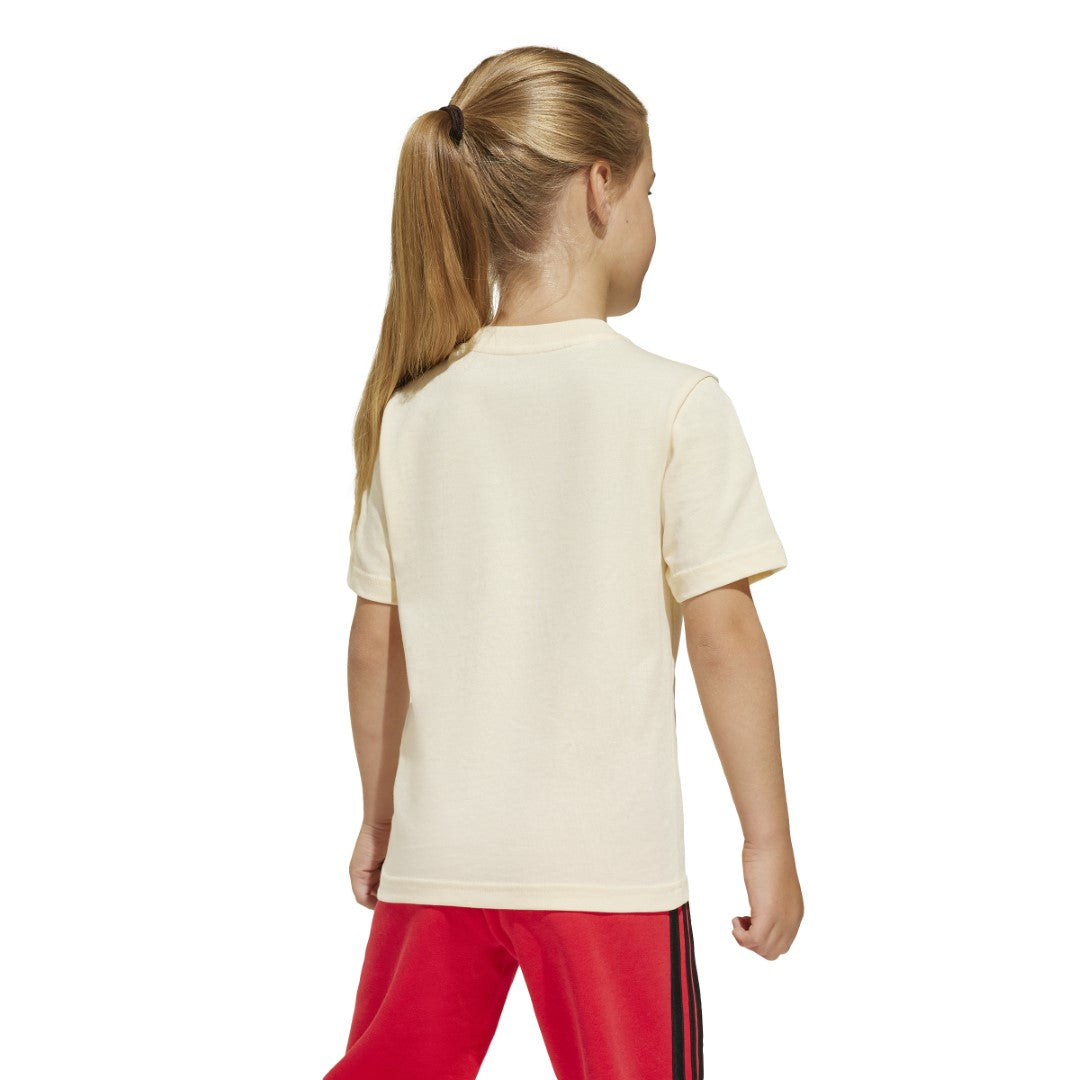 تيشيرت جرافيك فان