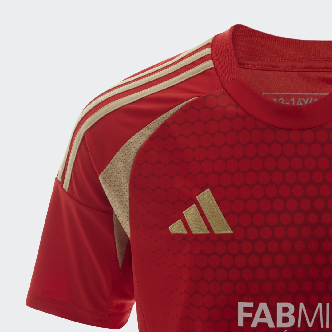 Al Ahly 2024 Home Jersey Youth