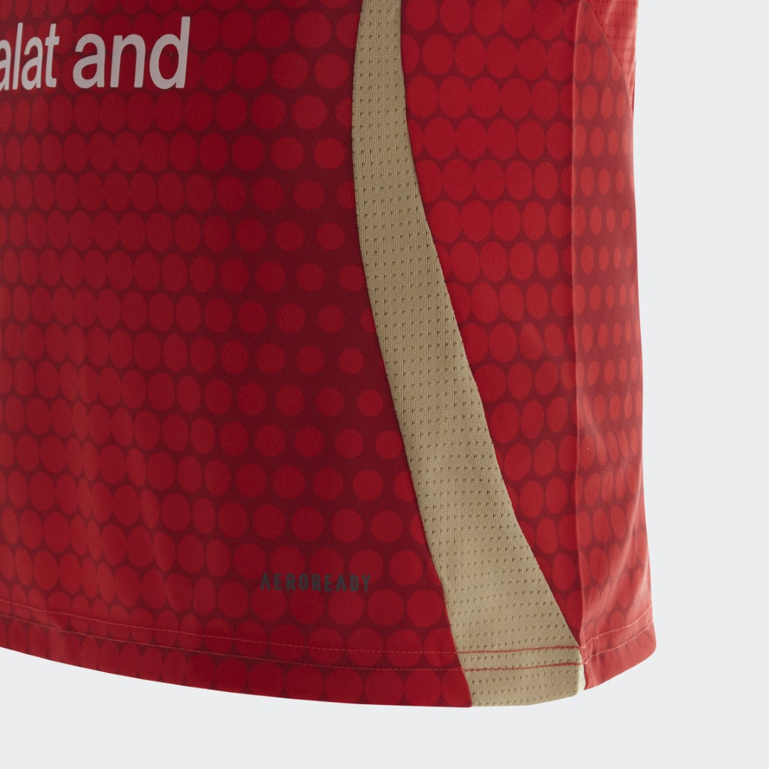 Al Ahly 2024 Home Jersey Youth