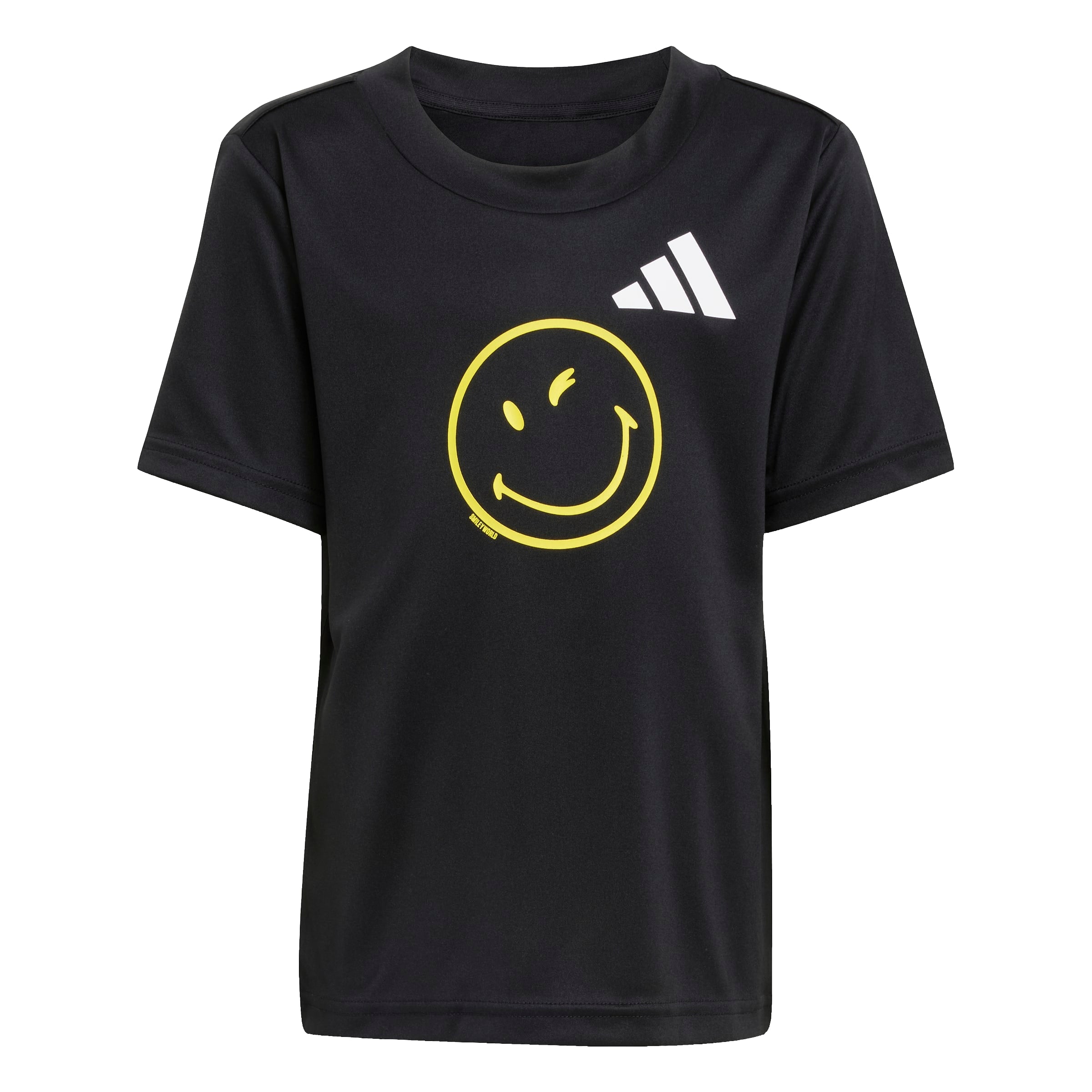 X Smileyworld Training Set