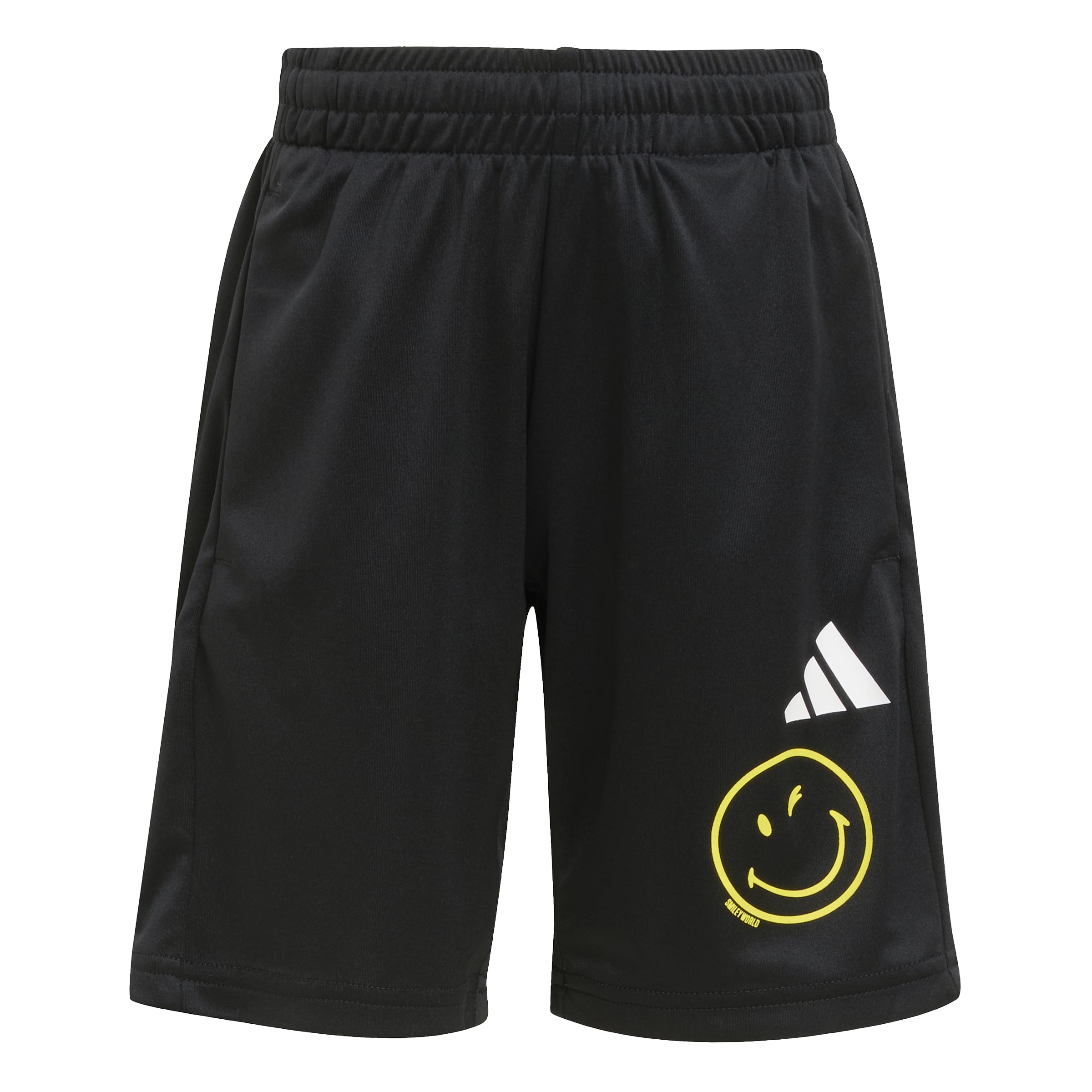 X Smileyworld Training Set