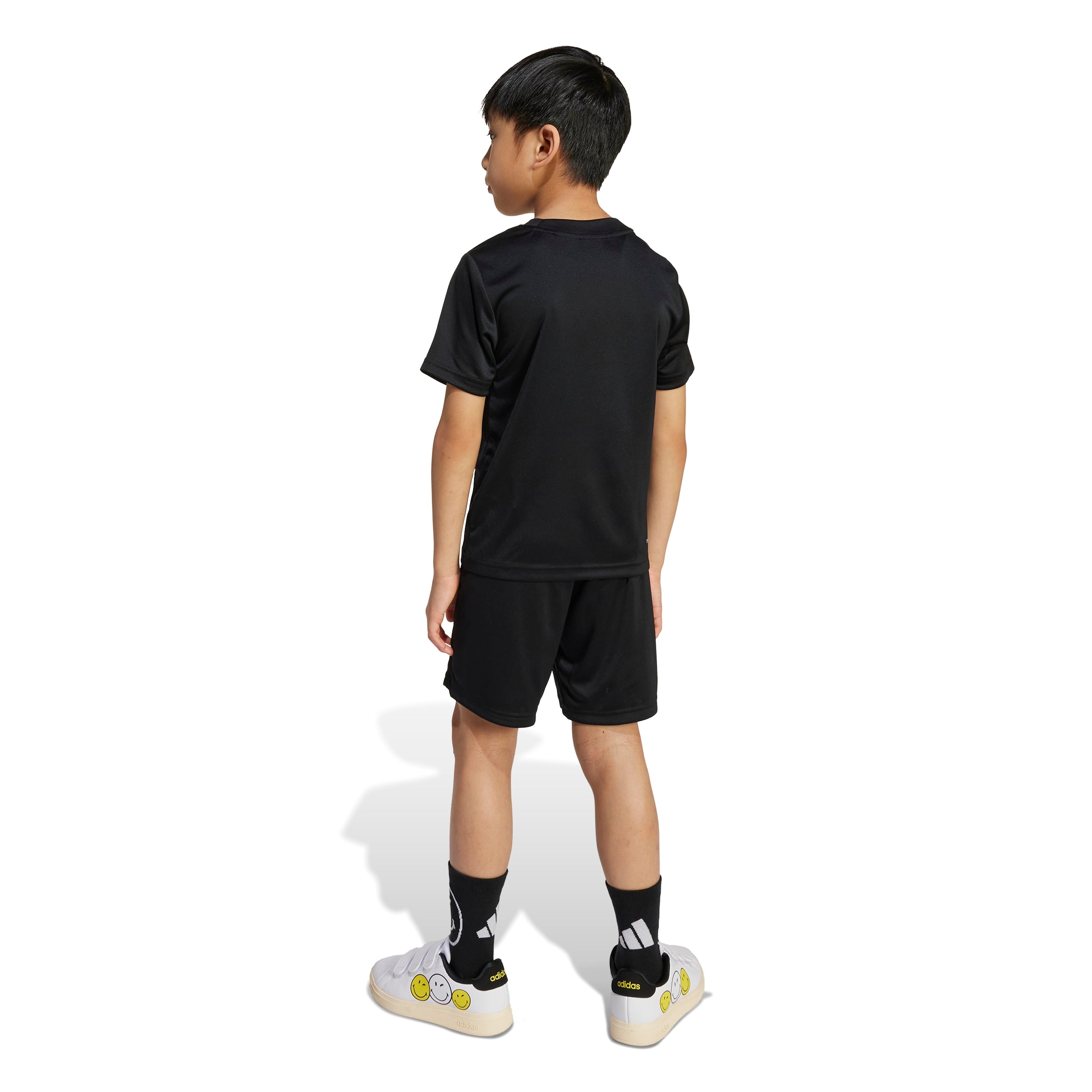 X Smileyworld Training Set