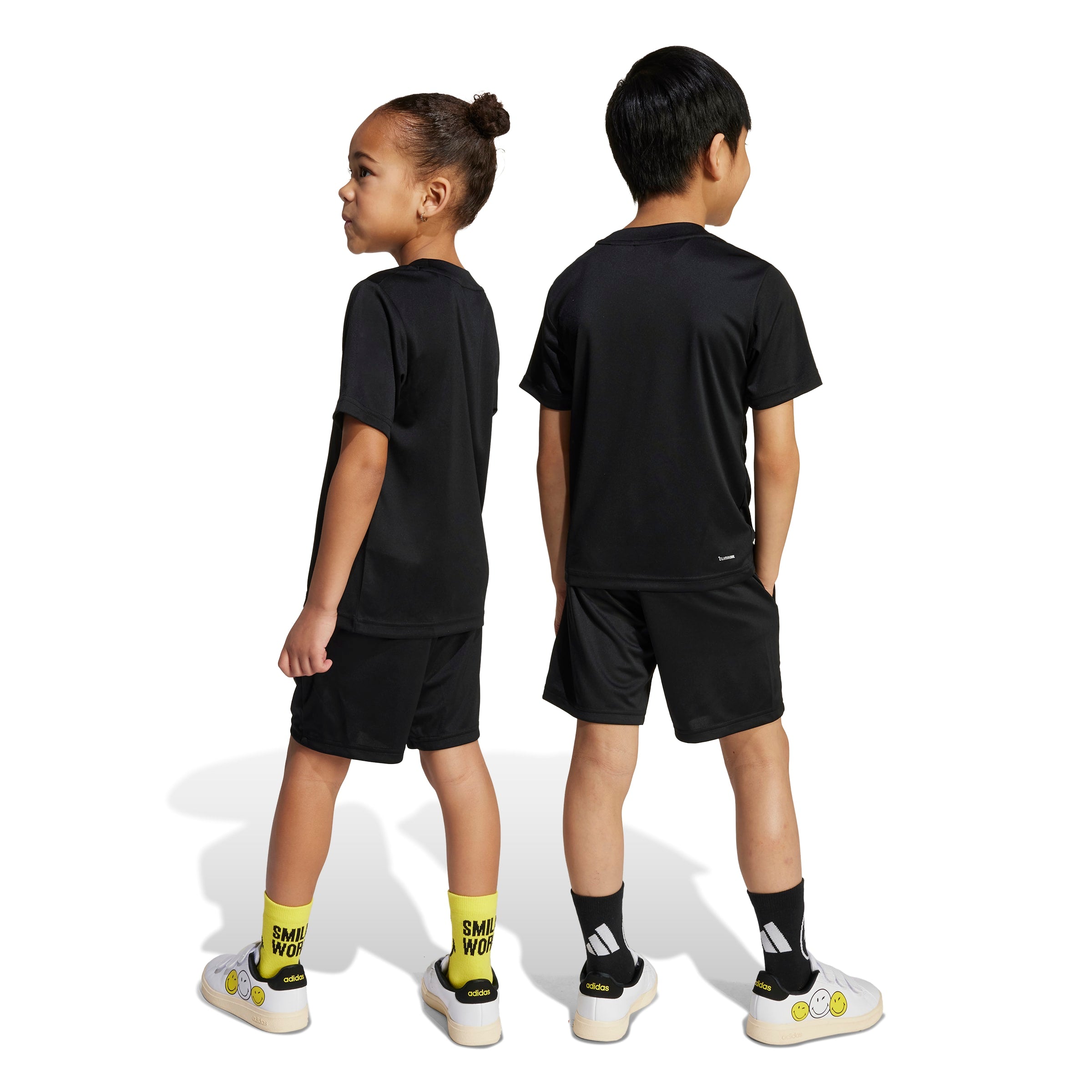 X Smileyworld Training Set